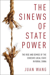 Sinews of State Power