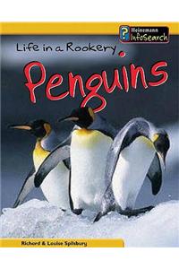 Life in a Rookery of Penguins