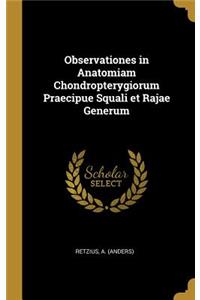 Observationes in Anatomiam Chondropterygiorum Praecipue Squali et Rajae Generum
