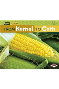 From Kernel to Corn