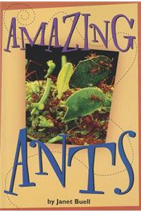 Amazing Ants