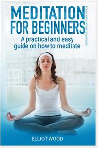 Meditation for beginners, a practical and easy guide on how to meditate: Focus meditation techniques