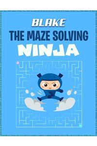 Blake the Maze Solving Ninja