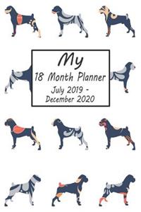My 18 Month Planner July 2019-December 2020
