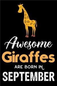 Awesome Giraffes Are Born In September