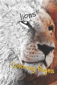 Lions Coloring Pages