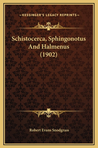 Schistocerca, Sphingonotus And Halmenus (1902)
