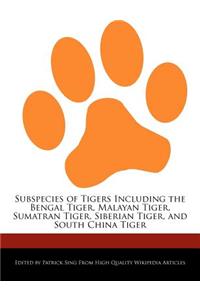 Subspecies of Tigers Including the Bengal Tiger, Malayan Tiger, Sumatran Tiger, Siberian Tiger, and South China Tiger