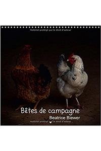 Betes De Campagne 2017