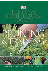 RHS Pruning and Training