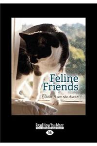 Feline Friends