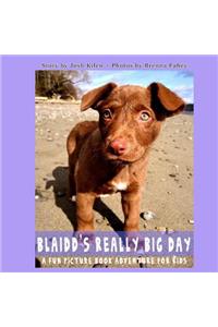 Blaidd's Really Big Day