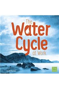 The Water Cycle at Work