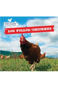 Los Pollos / Chickens