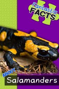 Fantastic Facts about Salamanders