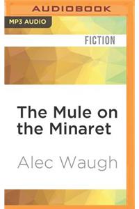 Mule on the Minaret