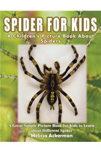 Spiders for Kids: A Children's Picture Book About Spiders: A Great Simple Picture Book for Kids to Learn about Different Spiders