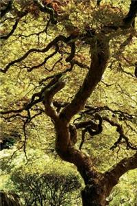 Japanese Maple Tree Journal: 150 Page Lined Notebook/Diary