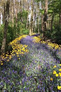 River of Colorful Flowers Through the Forest Nature Journal