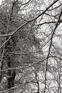Winter Season Journal Scenic Branches