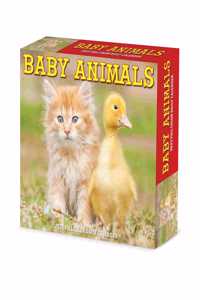Baby Animals 2023 Box Calendar
