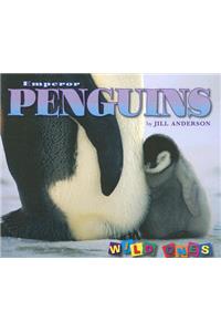 Emperor Penguins