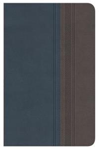 Santa Biblia-Rvr 1977