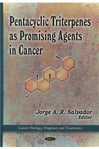 Pentacyclic Triterpenes as Promising Agents in Cancer