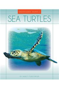 Sea Turtles
