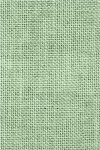 2020 Daily Planner Green Burlap Image 388 Pages