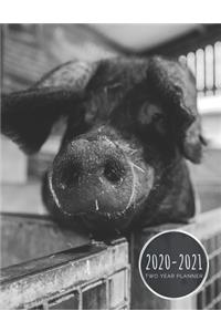 2020-2021 Two Year Planner