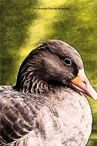 Oie Cendrée Carnet de notes