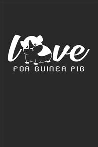 Love for guinea pig