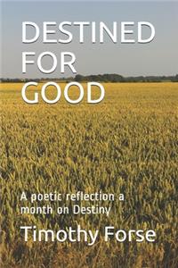 Destined for Good: A poetic reflection a month on Destiny