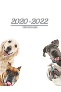 2020-2022 three year planner