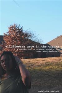 wildflowers grow in the cracks
