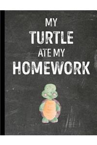 My Turtle Ate My Homework