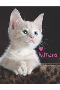 Kittens