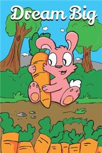 Dream Big