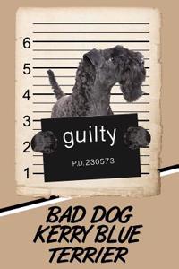 Bad Dog Kerry Blue Terrier