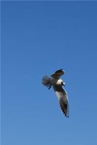 Seagull in Flight Journal