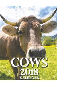 Cows 2018 Calendar