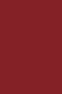 Red 190 - Lined Notebook: Wide Ruled, Soft Cover, 6 x 9 Journal, 190 Pages