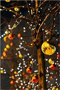 Christmas Lights at Night