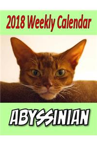 2018 Weekly Calendar Abyssinian