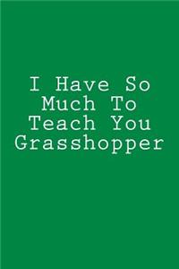 I Have So Much To Teach You Grasshopper