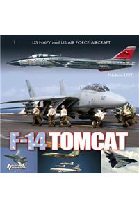 Grumman F-14 Tomcat in Combat