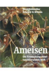 Ameisen