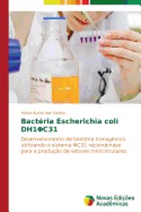 Bactéria Escherichia coli DH1ΦC31