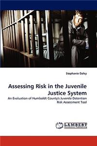Assessing Risk in the Juvenile Justice System